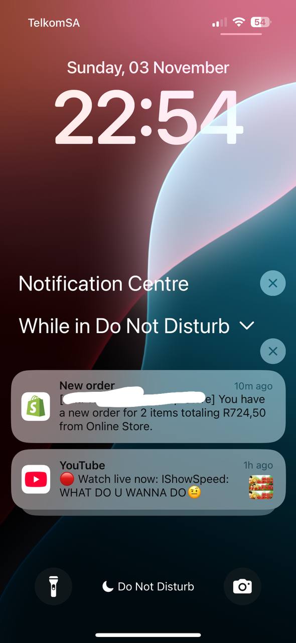 FULL DROPSHIPPING & E-COMMERCE GUIDE EBOOK PLUS 1 MONTH MENTORSHIP